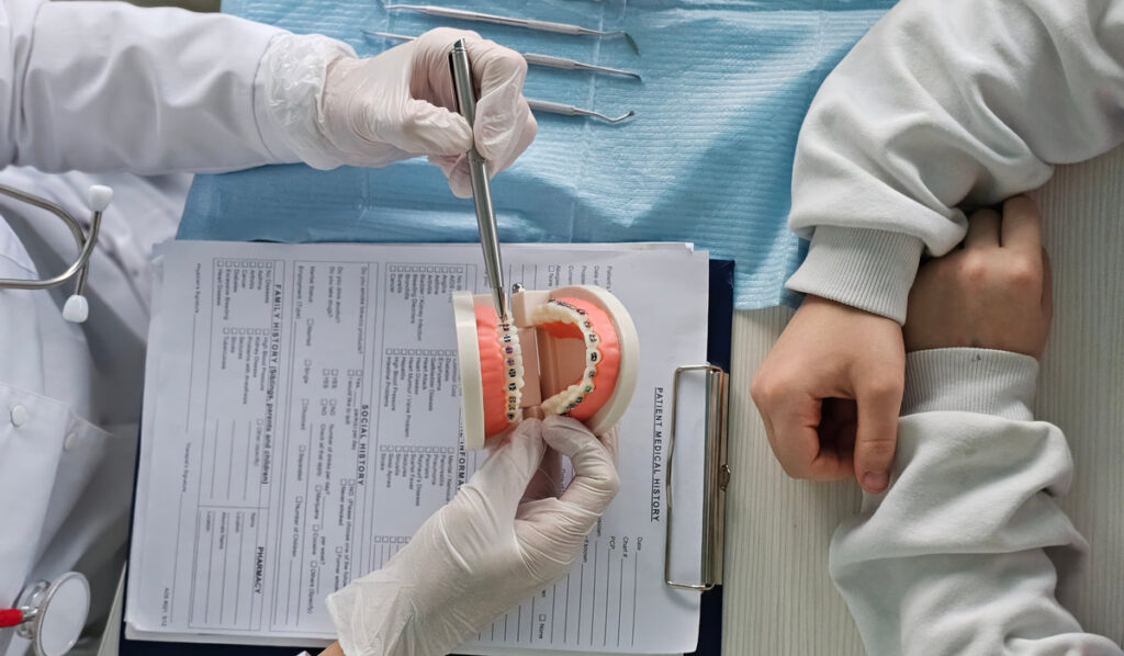 Dentist shows a teenager a dental jaw with braces